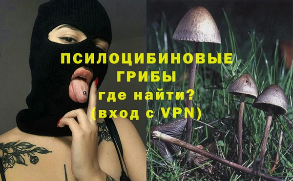 ГАЛЛЮЦИНОГЕННЫЕ ГРИБЫ Абаза
