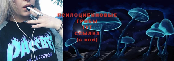 дмт Абдулино