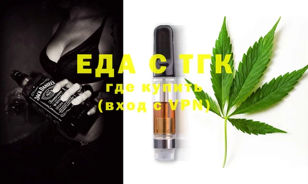 индика Алексин