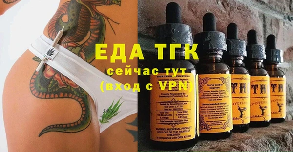 индика Алексин