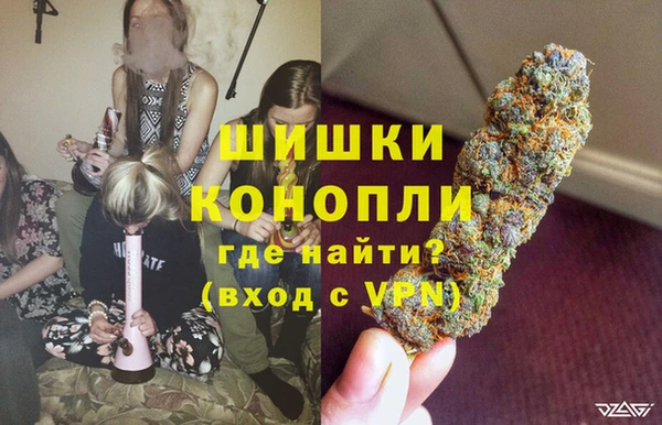 ГАЛЛЮЦИНОГЕННЫЕ ГРИБЫ Абаза