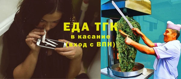 индика Алексин