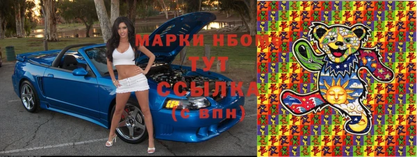 индика Алексин