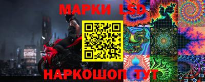 гашик Гатчина