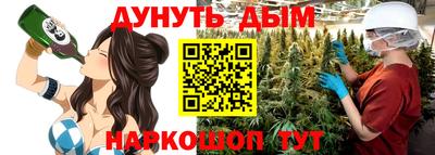 гашик Гатчина