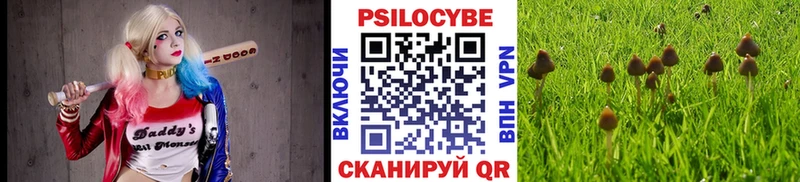 Псилоцибиновые грибы Cubensis  где найти   Прохладный 