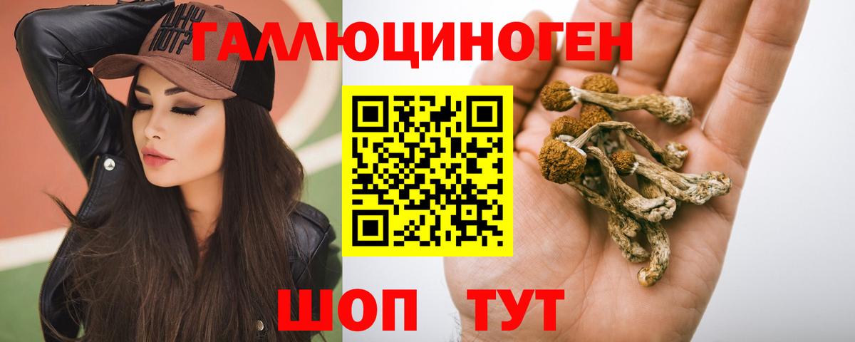 Псилоцибиновые грибы Psilocybine cubensis  Вход с VPN  Прохладный 