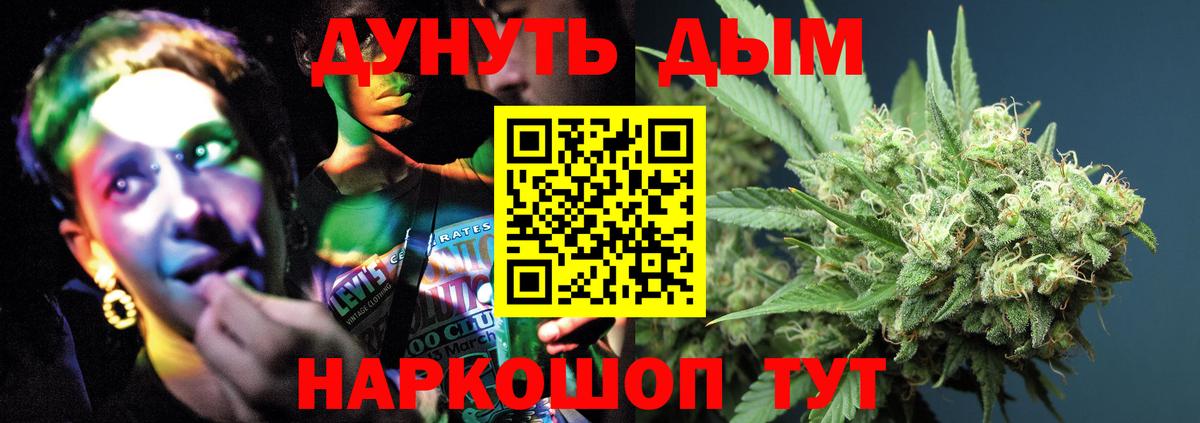 Марихуана гибрид Прохладный